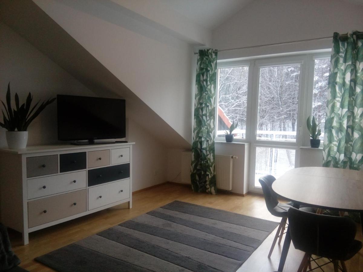 Apartment Lesny Loft Gdynia