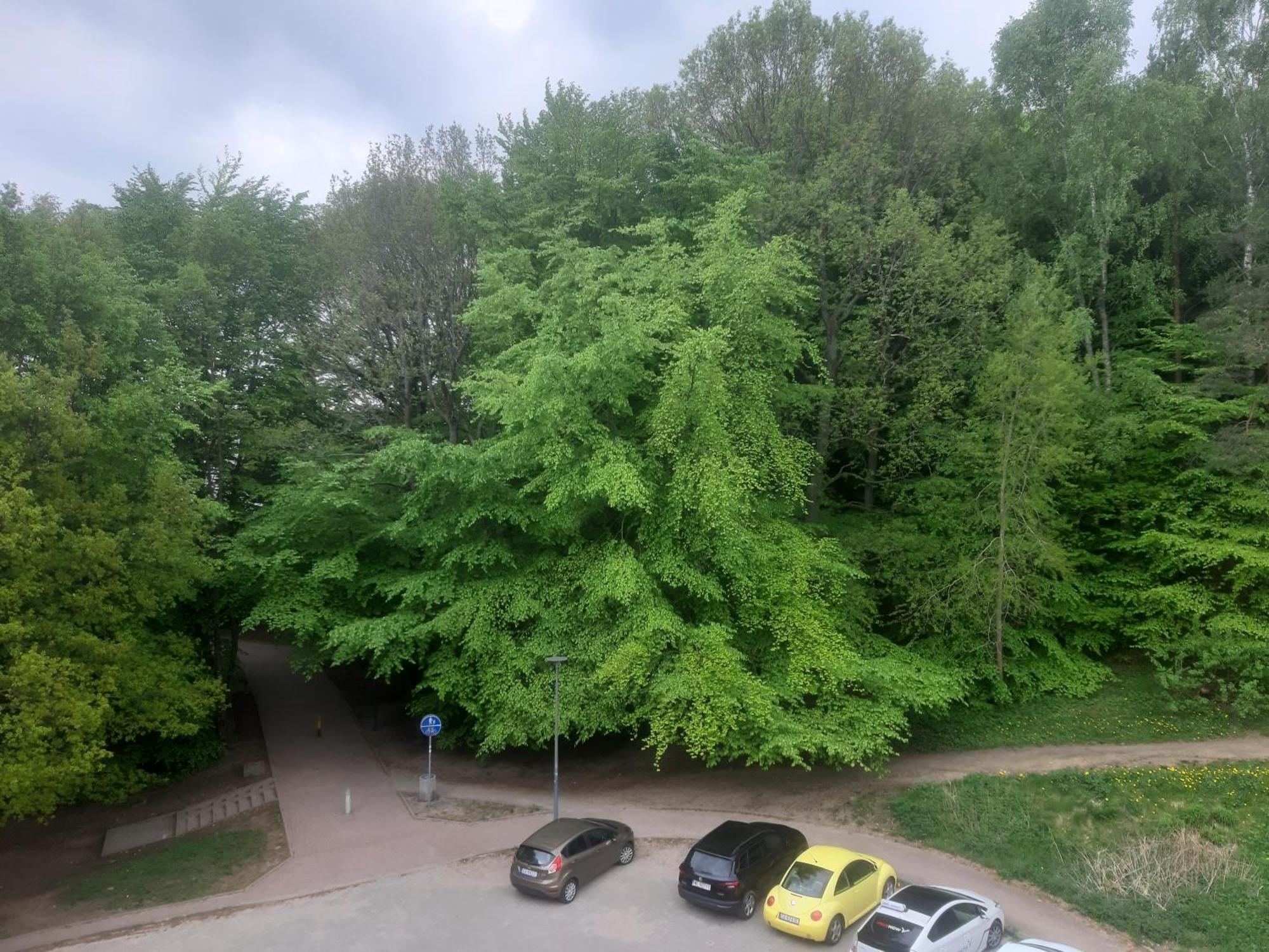Lesny Loft Apartment Gdynia